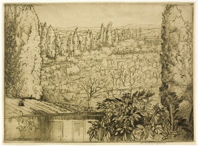 Toscana av Donald Shaw MacLaughlan
