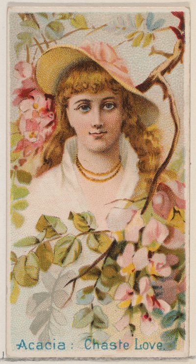 Acacia: Chaste Love, från serien Floral Beauties and Language of Flowers N75 för Duk..., 1892. av Donaldson Brothers