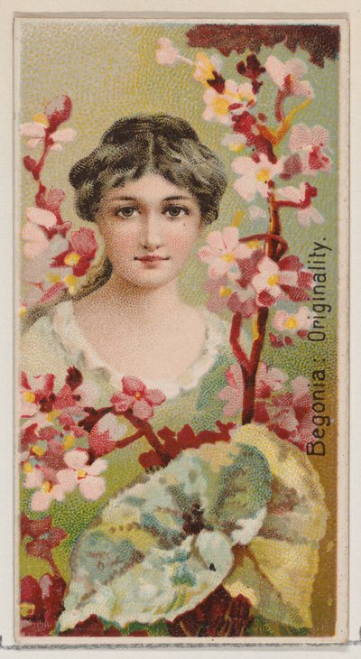 Begonia: Originality, från serien Floral Beauties and Language of Flowers N75 för Du..., 1892. av Donaldson Brothers