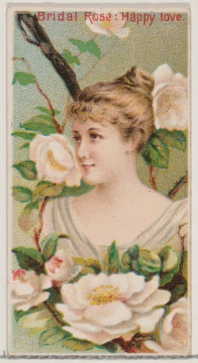 Bridal Rose: Happy Love, från serien Floral Beauties and Language of Flowers N75 för..., 1892. av Donaldson Brothers
