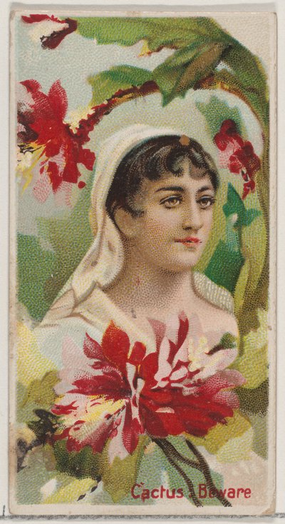 Cactus: Beware, från serien Floral Beauties and Language of Flowers N75 för Duke bra..., 1892. av Donaldson Brothers