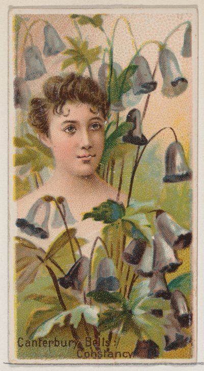 Canterbury Bells: Constancy, från serien Floral Beauties and Language of Flowers N75..., 1892. av Donaldson Brothers
