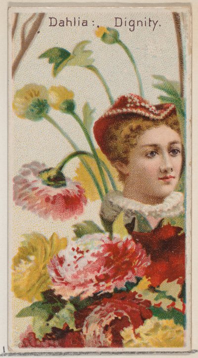 Dahlia: Dignity, från serien Floral Beauties and Language of Flowers N75 för Duke br..., 1892. av Donaldson Brothers