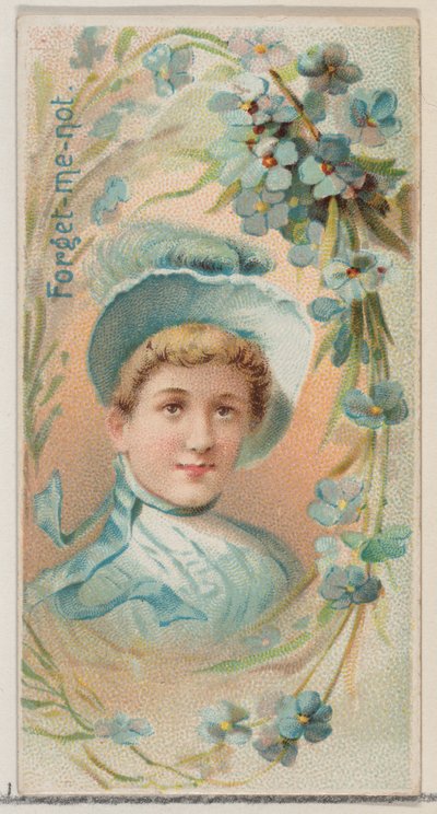Forget-Me-Not, från serien Floral Beauties and Language of Flowers N75 för Duke bran..., 1892. av Donaldson Brothers