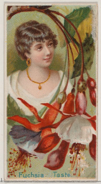 Fuchsia: Taste, från serien Floral Beauties and Language of Flowers N75 för Duke bra..., 1892. av Donaldson Brothers