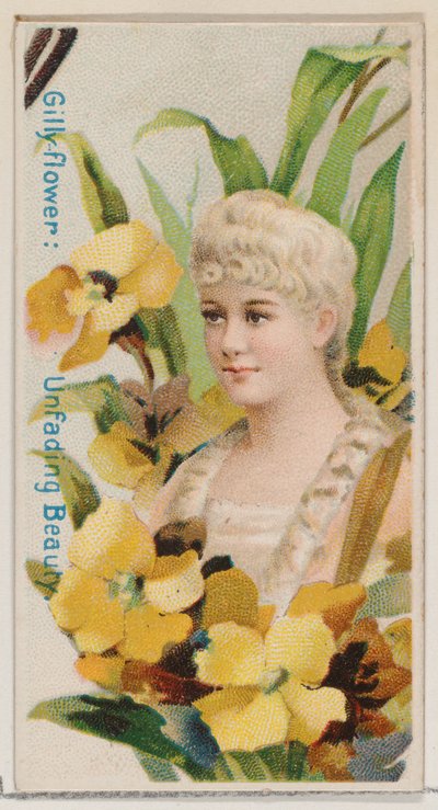 Gilly-flower: Unfading Beauty, från serien Floral Beauties and Language of Flowers N7..., 1892. av Donaldson Brothers