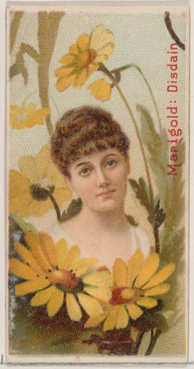 Marigold: Disdain, från serien Floral Beauties and Language of Flowers N75 för Duke ..., 1892. av Donaldson Brothers