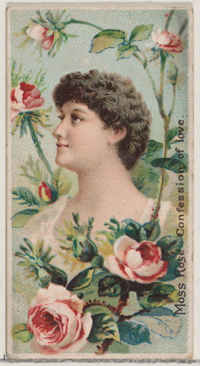 Moss Rose: Confession of Love, från serien Floral Beauties and Language of Flowers N7..., 1892. av Donaldson Brothers