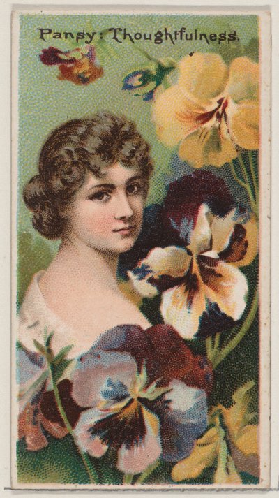 Pansy: Thoughtfulness, från serien Floral Beauties and Language of Flowers N75 för D..., 1892. av Donaldson Brothers