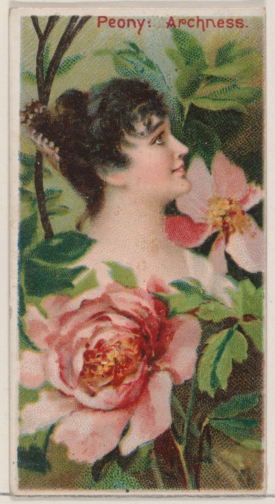 Peony: Archness, från serien Floral Beauties and Language of Flowers N75 för Duke br..., 1892. av Donaldson Brothers