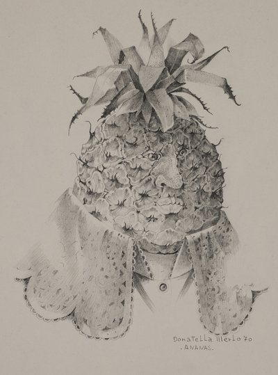 Ananas av Donatella Merlo