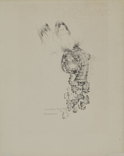 Den kvinnliga dokumentförstöraren av Donatella Merlo