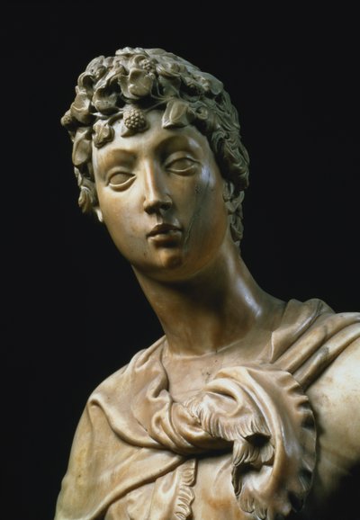 David, detalj av huvudet, 1408 marmordetalj av 79334 av Donatello