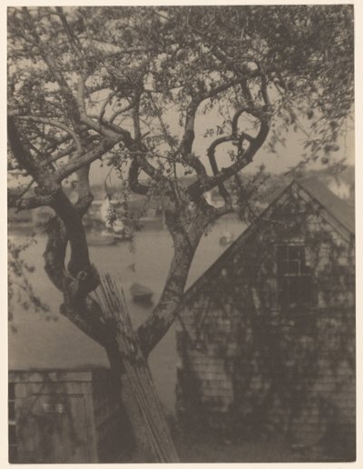 Hamnscen, troligen Gloucester, Massachusetts av Doris Ulmann