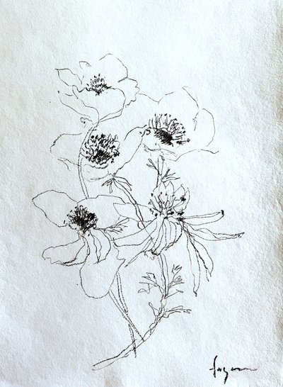 En fin blomsterskiss av Dorothy Fagan