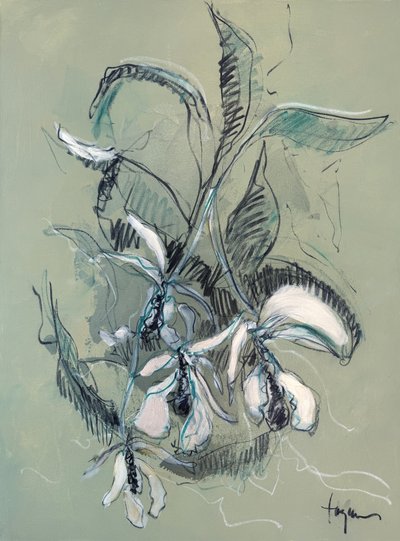 Elegant orkidé-skiss av Dorothy Fagan