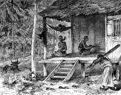 Malaysisk hydda, 1800-talet av Dosso