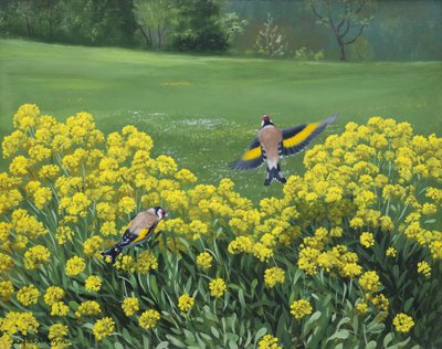 Goldfinches, 2000 (olja på pannå) av Douglas Anderson