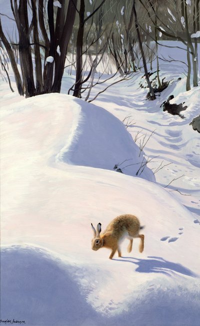Hare i snön av Douglas Anderson