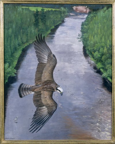 Osprey Fiske av Douglas Anderson