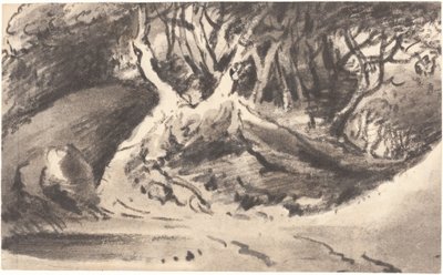 Skogbevuxen landskap av Dr. Thomas Monro