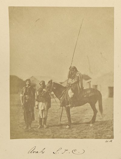 Araber. L.T.C. av Dr. William Robertson