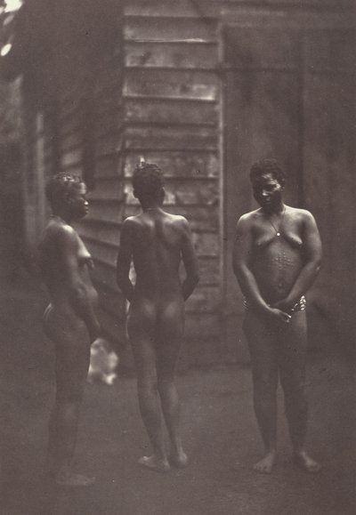 Tre madagaskiska kvinnor (plansch 30),1863 (foto) av Désiré Charnay