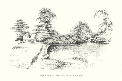 Squerryes Ponds, Westerham (litografi) av Duncan Moul