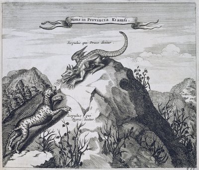 Ett berg i Jiangxi-provinsen med klippor som kallas draken och tigern, från Kina Illustrerad av Athanasius Kircher (1601-80) 1667 av Dutch School