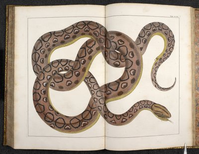 En Python, från 