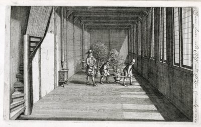 Flytta träd in i trädgården för sommaren, från De Nederlandse Hesperides av Jan Commelin, publicerad 1676 av Dutch School