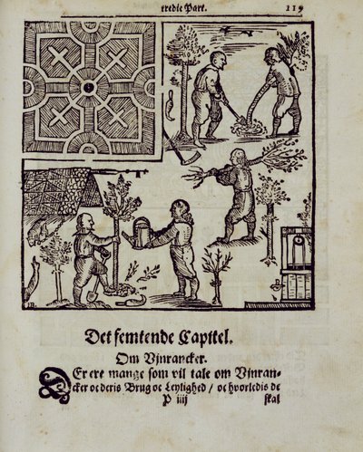 Plantera träd, från The Dutch Gardener av Johann van der Groen, publicerad 1699 av Dutch School