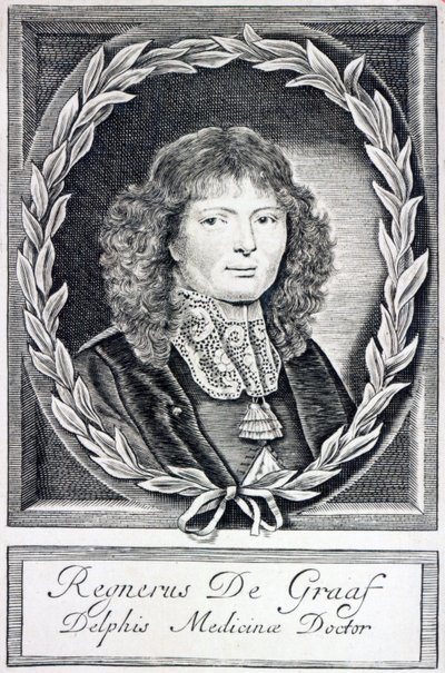 Regnier de Graaf, ca 1670 av Dutch School