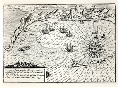 Viceamiral Wybrandt Van Warwijcksflottiljens ankomst till Mauritius sydöstra hamn i september 1598 av Dutch School