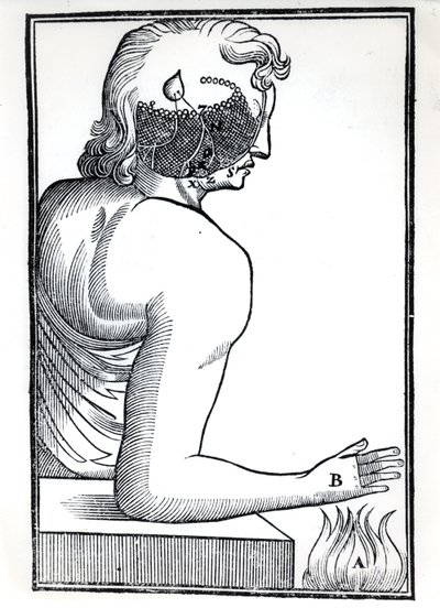 The Perception of the Senses, från De Homine Figuris av Rene Descartes (1596-1650) publicerad i Amsterdam, 1677 av Dutch School