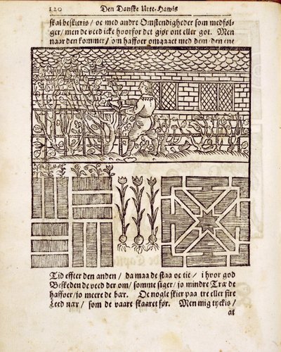Träning och plantering i trädgården, från The Dutch Gardener, av Johann van der Groen, publicerad 1699 av Dutch School