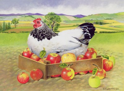 Hen in a Box of Apples, 1990 (akryl) av E.B. Watts