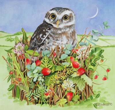 Owl in a Woodland Basket, 1993 (akryl) av E.B. Watts