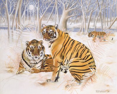 Tigers in the Snow, 2005 (akryl på duk) av E.B. Watts