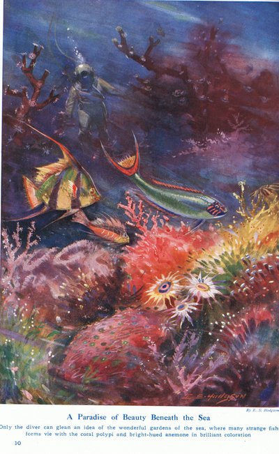 A Paradise of Beauty Beneath the Sea, illustration från "Wonders of Land and Sea", publicerad av Cassell, London, 1914 av E.S. Hodgson