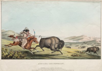 Jaga buffeln av E. C. Biddle