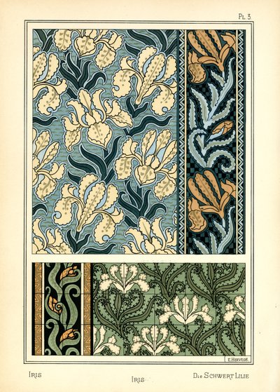 Iris av E. Hervegh