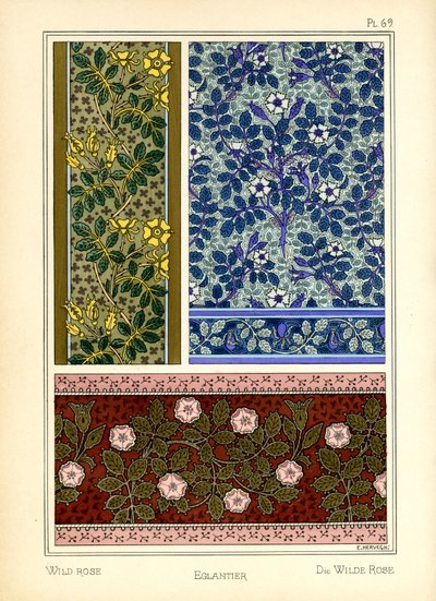 Den vilda rosen av E. Hervegh
