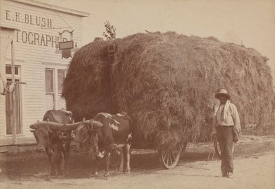 Albumintryck av en man med full hövagn, 1894-1904. av E. K. Blush