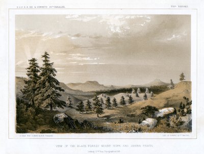 Black Forest Mount Hope och Sierra Prieta, USA, 1856. av E Stout