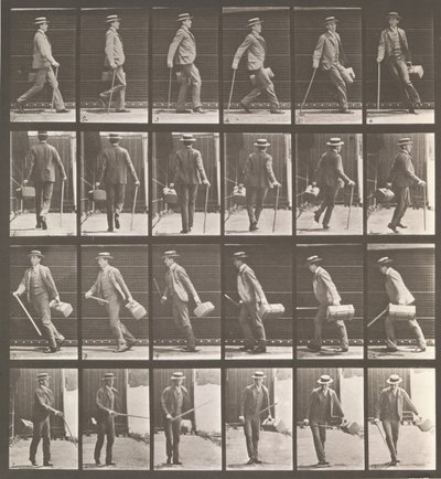 Djurrörelse. En elektrofotografisk undersökning... av djurrörelser. Börja..., 1880-talet. av Eadweard Muybridge