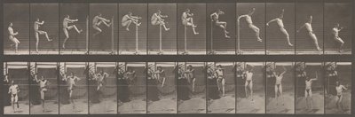 Djurrörelse. En elektrofotografisk undersökning av på varandra följande faser av djur ..., 1880-talet. av Eadweard Muybridge