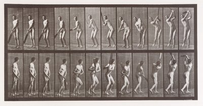 Djurrörelse. En elektrofotografisk undersökning av på varandra följande faser av djur ..., 1880-talet. av Eadweard Muybridge