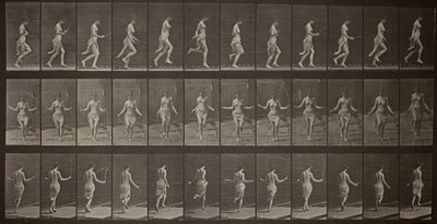 Djurens rörelse, tavla 174, 1887. av Eadweard Muybridge