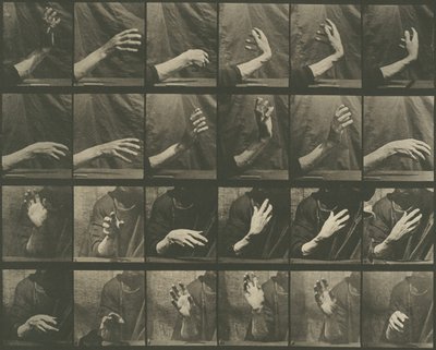 Djurrörelse, skylt 535, 1887. av Eadweard Muybridge